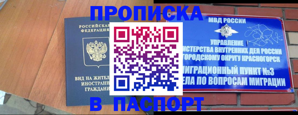 найти адрес прописки в Богучаре